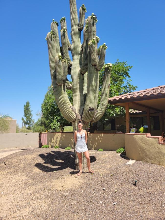 Private, Quite Casita , N. Scottsdale Area,private Pool & Patio, Az. Cave Creek