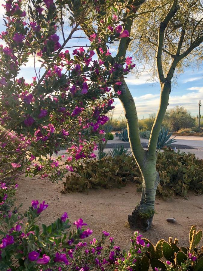 Private, Quite Casita , N. Scottsdale Area,private Pool & Patio, Az. Apartment *